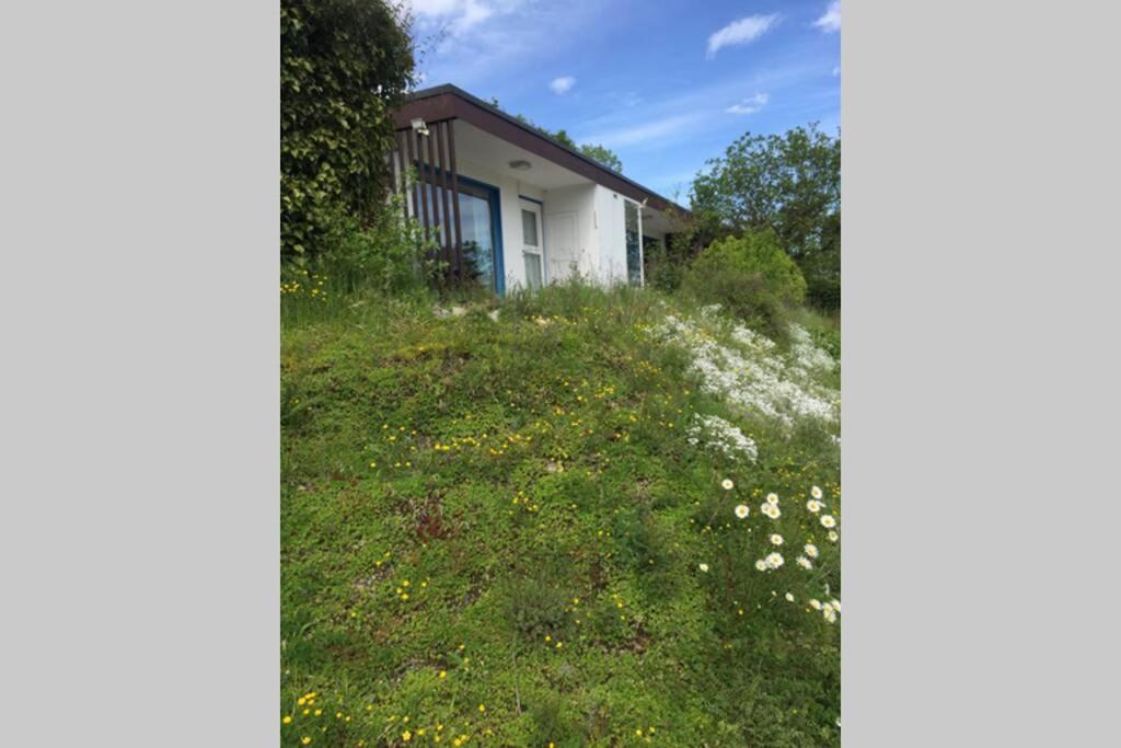 Idyllisch Wohnen Im Weserbergland - Bungalow Mit Phantastischer Aussicht Fuer 4 Personen Polle ภายนอก รูปภาพ
